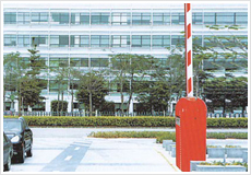 ���P��T(m��n)